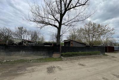 Teren de 450 mp, în Micălaca - 3