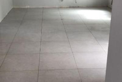 Casă individuală cu 3 camere cu Teren 695 Mp în Nufărul - 4