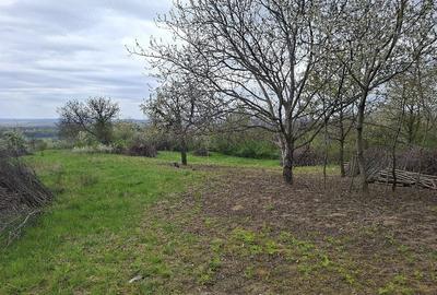 Teren de 6310 mp, în Curături - 1