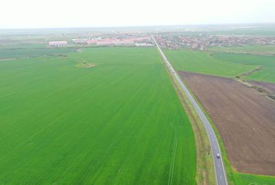Teren Construcții extravilan de 98000 mp, în Dudeștii Noi - 3