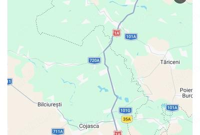 Teren de 30000 mp, în Cojasca - 2