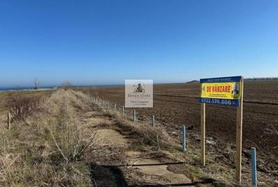 Teren intravilan de 47400 mp, în Sud - 3