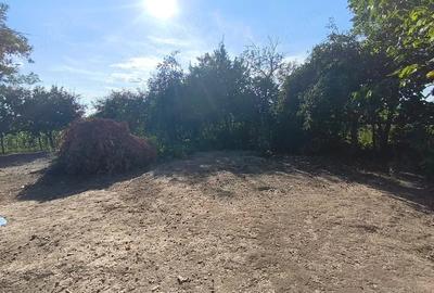 Casă cu Teren 3461 Mp în Ilia