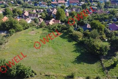 Teren agricol intravilan de 2017 mp, în Simeria - 6