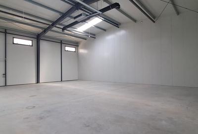 Spațiu industrial, de 736 mp, în Mogoșoaia - 22