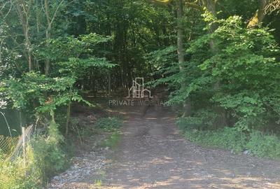 Teren extravilan de 90000 mp, în Corunca - 6