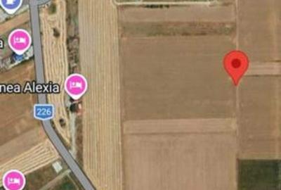 Teren de 4000 mp, în Corbu