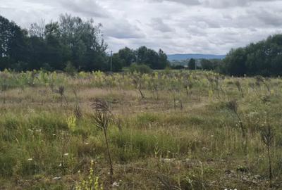 Teren în Gălănești