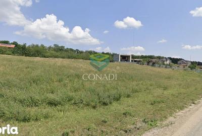 Teren de 800 mp, în Brănești - 4