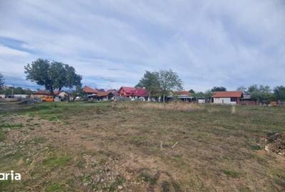 Teren de 700 mp, în Primăverii - 1