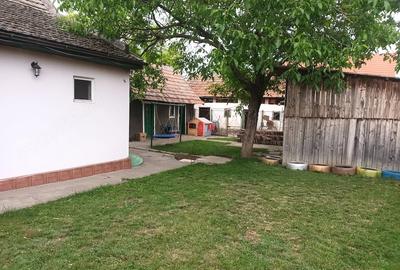 Casă cu Teren 543 Mp în Becicherecu Mic - 4