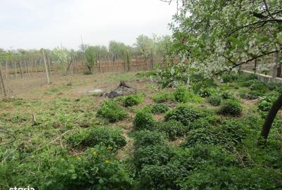 Casă cu 2 camere în Vințu de Jos