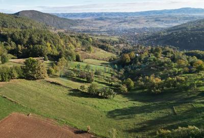 Teren agricol intravilan de 1400 mp, în Șuncuiuș - 5