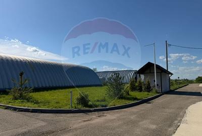 Spațiu industrial, de 1,407 mp, în Potigrafu - 4