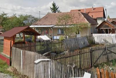 Casă cu Teren 7800 Mp în Sud - 5