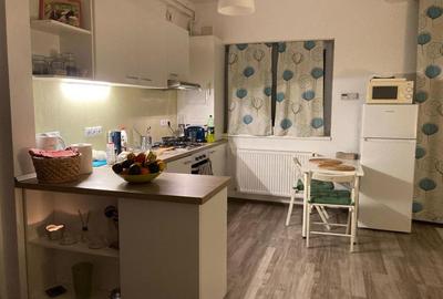 Apartament cu 2 camere semidecomandat, mobilat în Turnișor