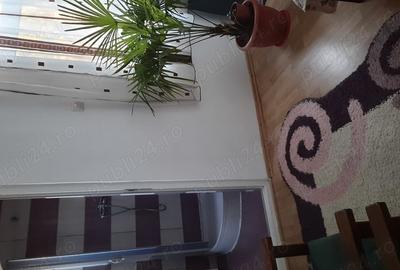 Casă cu 5 camere cu Teren 550 Mp în Sulina - 5