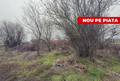 Teren de 533 mp, în Albota - 4