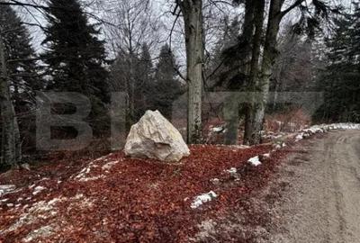 Teren de 4000 mp, în Calea Moroieni - 5
