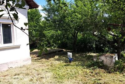 Casă cu Teren 3780 Mp în Hulubești - 10