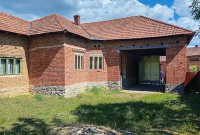 Casă cu Teren 11300 Mp în Dumbrăvița - 1