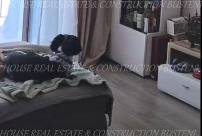 Garsonieră decomandată în Platoul Izvor - 9