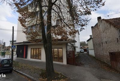 Spațiu comercial, de 120 mp, în Iris - 1