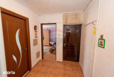 Apartament cu 3 camere decomandat în Sălăjan
