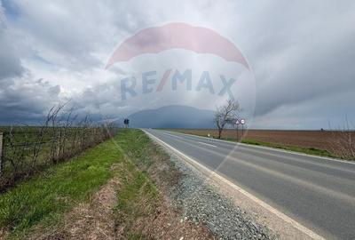 Teren agricol extravilan de 60000 mp, în Săcele - 4