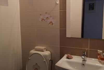 Apartament cu 3 camere decomandat, mobilat în Răcădău - 10