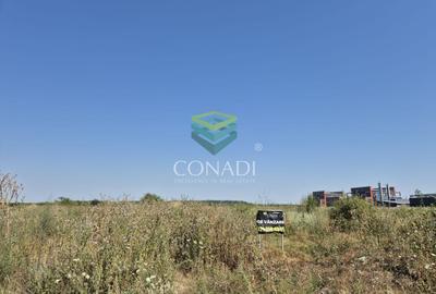Teren Construcții intravilan de 10000 mp, în Sud-Vest