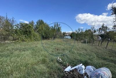 Casă cu 3 camere cu Teren 2678 Mp în Central