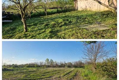 Casă cu 3 camere cu Teren 34100 Mp în Central - 1