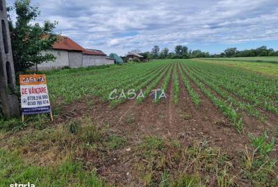 Teren de 7500 mp, în Bălești - 5