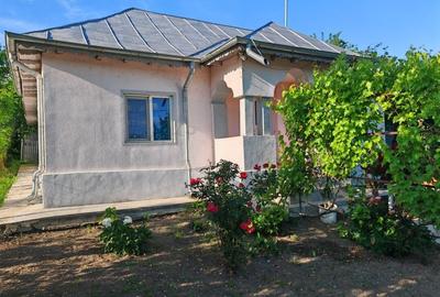 Casă individuală cu 3 camere cu Teren 300 Mp în Bucșani - 8