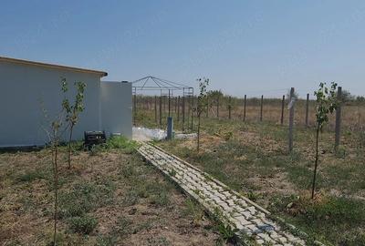 Teren de 1300 mp, în Plătărești - 4