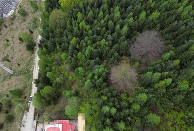 Teren Construcții intravilan de 6500 mp, în Dâmbul Morii - 1