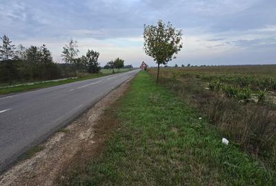 Teren agricol extravilan de 18000 mp, în Boțârlău - 36