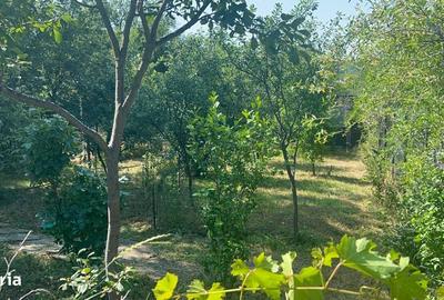Casă cu 3 camere în Crevedia Mică - 19