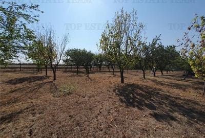 Teren Construcții intravilan de 15743 mp, în Agigea - 2