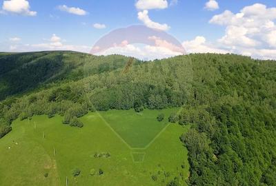 Teren agricol extravilan de 9025 mp, în Mărișel - 6