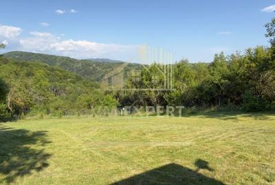 Teren de 3200 mp, în Godeni