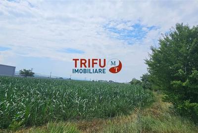 Teren de 3500 mp, în Industrială