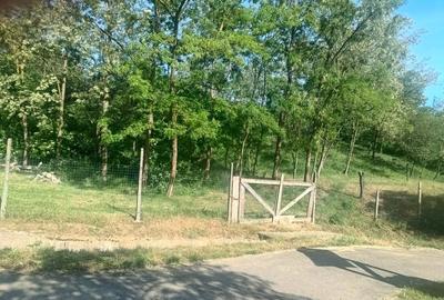 Teren de 1500 mp, în Zăuan - 3