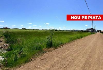Teren de 500 mp, în Bradu