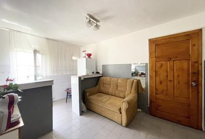 Apartament cu 2 camere semidecomandat, mobilat în Buziașului - 4