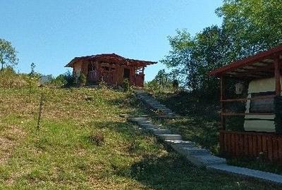Casă cu 3 camere cu Teren 2697 Mp în Teș - 1