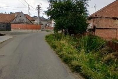 Casă cu 3 camere în Nădășelu
