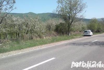 Teren de 916 mp, în Central