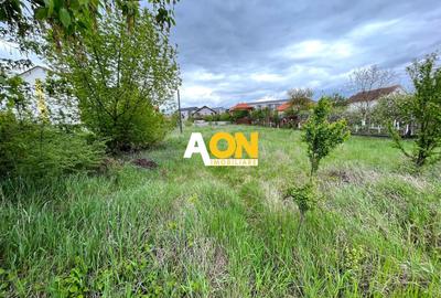 Teren Construcții intravilan de 958 mp, în Cetate - 1